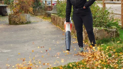Gardener using a leaf blower cleaning autumn leaves in a park Stock Footage 323476433