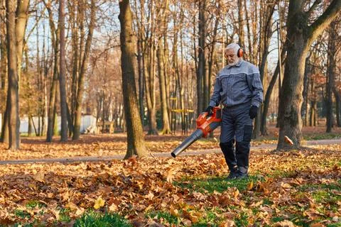 Gardener using leaf blower to clear up autumn leaves. Stock Photos