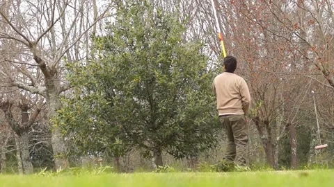 Gardener Using Long-Handled Pole Pruner to Trim Tree Branches Vídeo Stock 331261668
