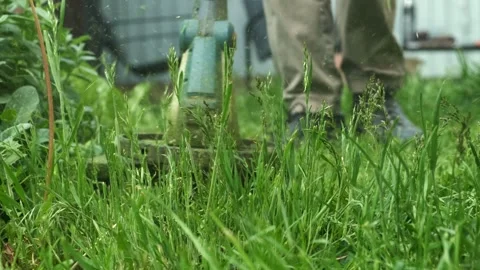 Gardener using string trimmer to cut thick grass in home yard. Lawn care in Stock Footage 310241016
