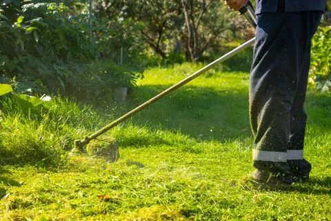 Gardener using string trimmer to cut grass in backyard. Man maintaining lawn 写真素材