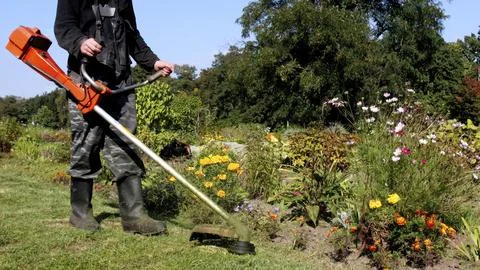 Gardener using a string trimmer in a vibrant flower bed during a sunny day Stock Photos