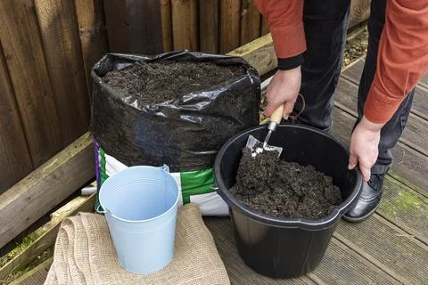 Gardener using Trowel to Transfer Compost from Bag to Black Bucket Stock Photos