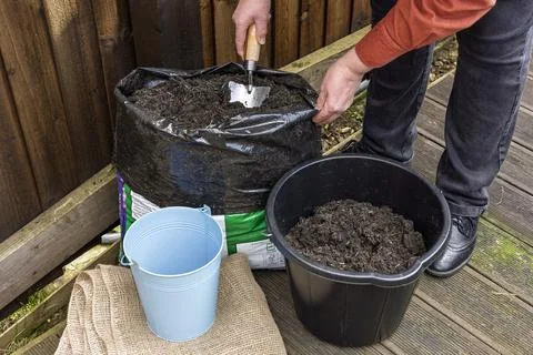 Gardener using Trowel to Transfer Compost from Bag to Bucket Stock Photos