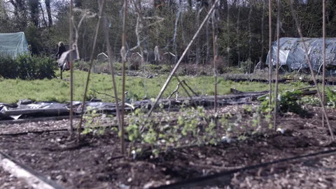 Gardener Walking Away Stock Footage 196933932