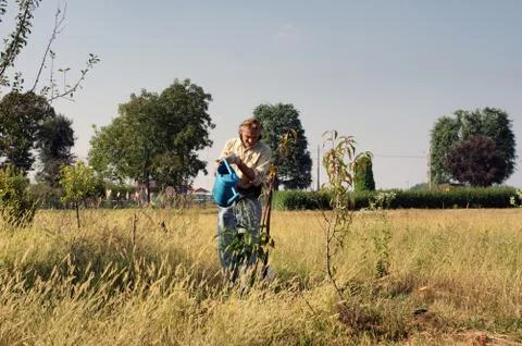 Gardener watering a tree Stock Photos