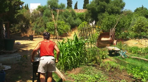 Gardener with wheelbarrow Video stock 53211934