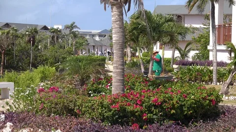 A gardener at work at a Caribbean resort Stock Footage 86530346