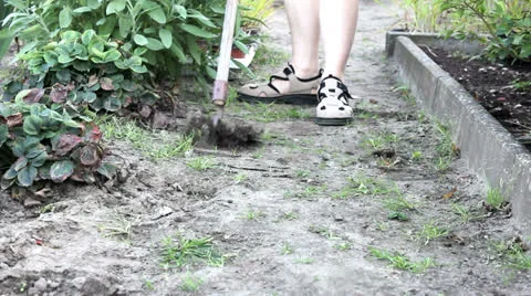 A gardener at work Stock Footage 22570478
