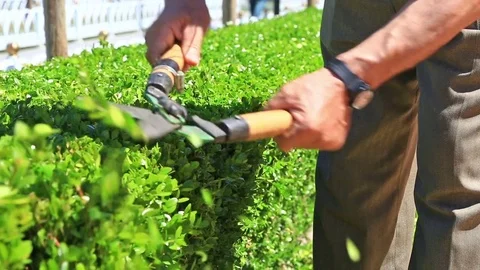 Gardener at work Stock Footage 80085090