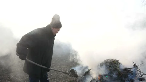 Gardener at work. Stock Footage 122377820