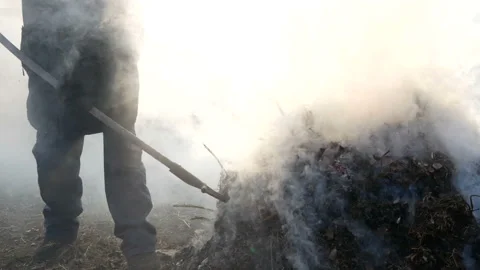 Gardener at work. Stock Footage 122377938
