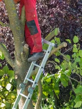 Gardener at work Stock Photos