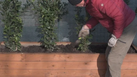 Gardener at work pruning hedge Video stock 122607130