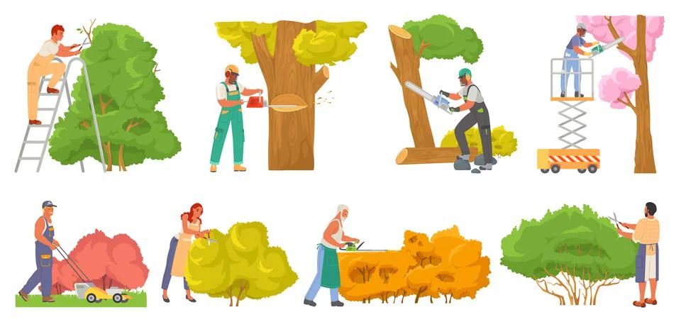 Gardener worker pruning tree plant vector set Stock Illustration