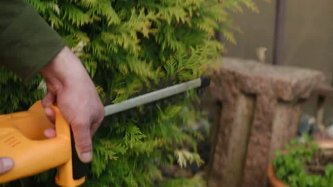 Gardener worker using hedge trimmer to cut bushes in backyard Stock Footage 310545080