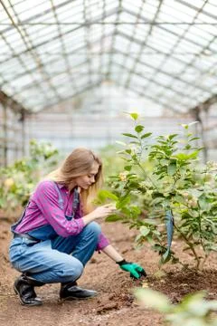 Gardener is working with ground Stock Photos
