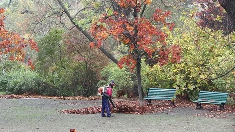 Gardener working with leaf blower in the park Stock Footage 120886024