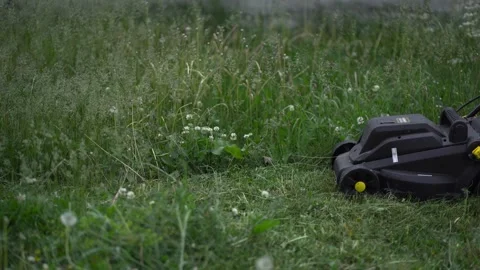 Gardener working with mower machine in the garden. Lawn mower cutting the grass Stock Footage 196003498
