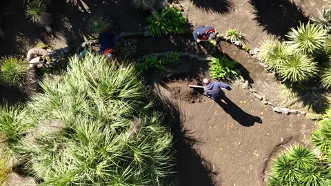 Gardeners 4K Stock Footage 266089880