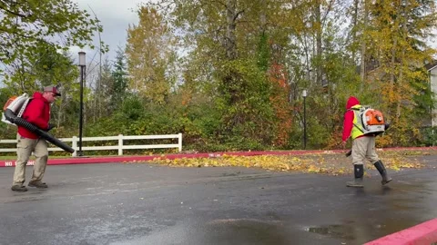 Gardeners remove fallen leaves from the yard with blowers. Everette, WA, USA - 5 Stock Footage 255263340
