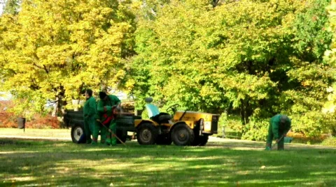 Gardeners working Video stock 543897