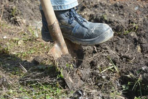 GardenF01 Foto stock