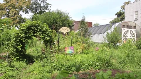GardenFootage08 Stock Footage 246388337