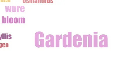 Gardenia Tagcloud Animated Isolated Stock Footage 107207556