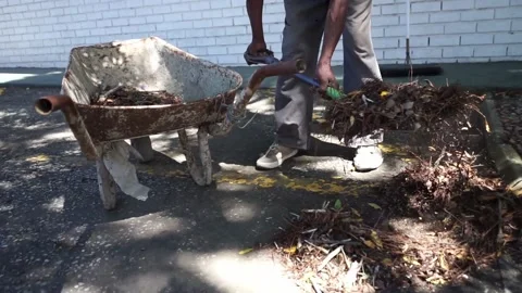 Gardening 1 Stock-Footage 149111486