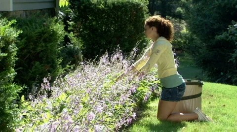 Gardening 262 Stock Footage 507623