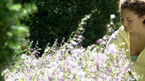 Gardening 264 Stock Footage 507647