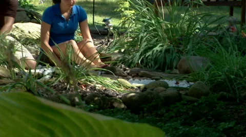 Gardening 265 Stock Footage 507649