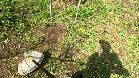 Gardening in Action: A Close-Up of a Hand Using a Trimmer to Manage Overgrown Vidéo 336228181