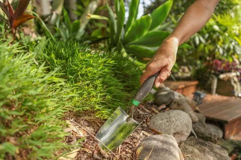 Gardening close up Stock Photos