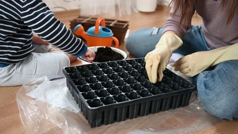 Gardening concept. Close up of soil is poured into a container for seedlings Stock Footage 180700892