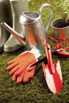 Gardening concept Foto stock