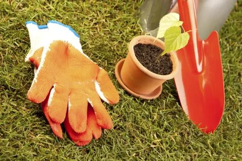Gardening concept Stock Photos