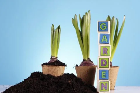 Gardening concept Stock Photos