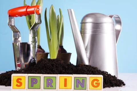 Gardening concept Foto stock