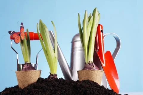 Gardening concept Stock Photos