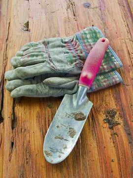 Gardening concept Stock Photos