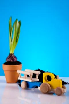 Gardening concept, work tools, plants Stock Photos
