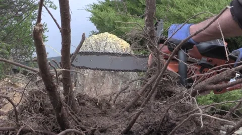 Gardening - Cutting tree trunk with chainsaw Video stock 48408442