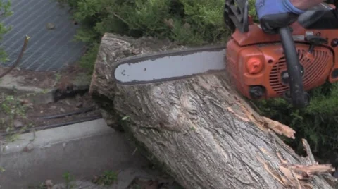 Gardening - Cutting tree trunk with chainsaw Stock Footage 48409611