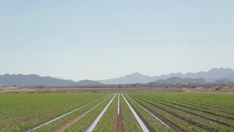Gardening Fail Stock Footage 94643381