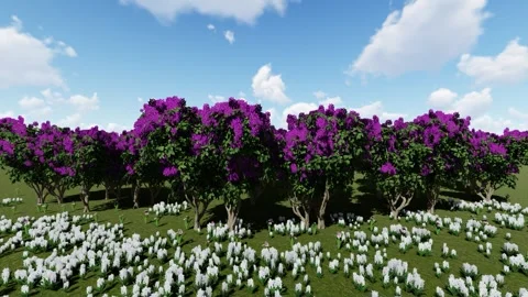 Gardening in the Field Stock Footage 337669279