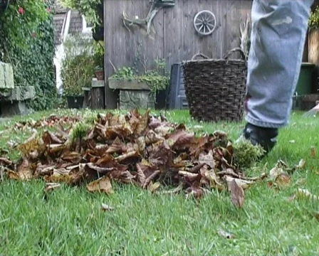 Gardening Stock Footage 88487