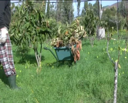 Gardening Stock Footage 601958