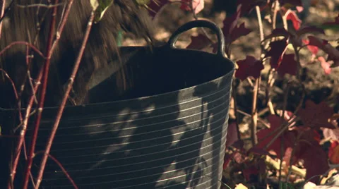 Gardening Video stock 33838419